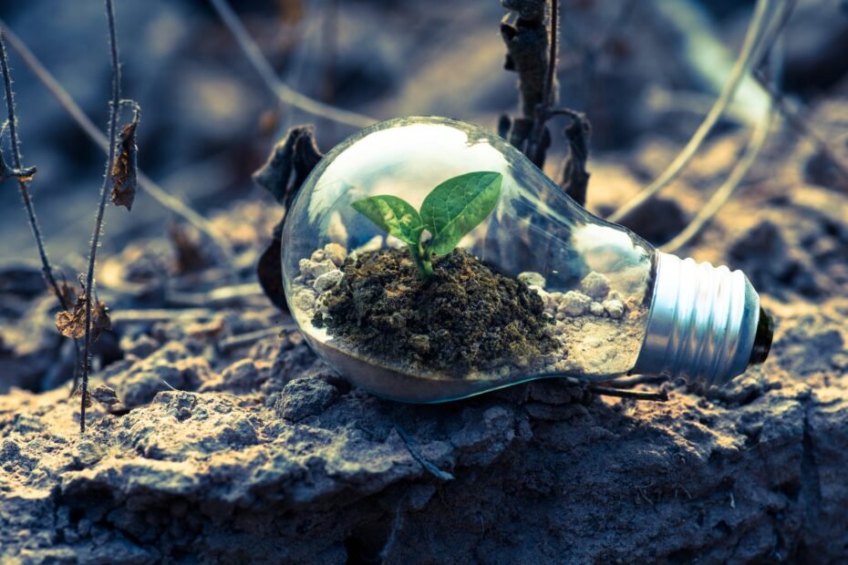 Why is it important to reduce energy waste pexels singkham 1108572